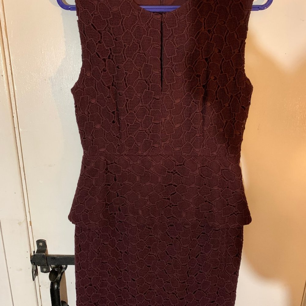 Diane von Furstenberg-Delian Pebble Lace dress 6 purple/plum